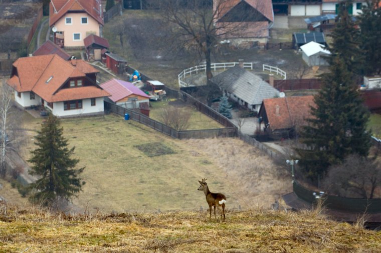 Csíksomlyó rejtett természeti értékeit mutatja meg képein Szabó Szilárd nagykárolyi születésű fotós, környezetvédelmi szakember