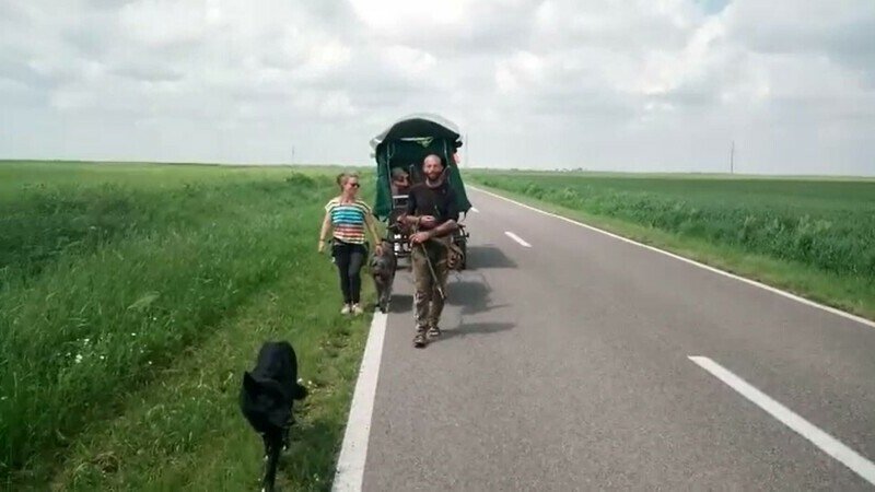 Nem száguldanak, nem idegeskednek. Gyalogszerrel, szamárfogattal halad a Palesztinába tartó franciaországi házaspár Temes megyében •  Fotó: Temesvári Rádió/képernyőmentés