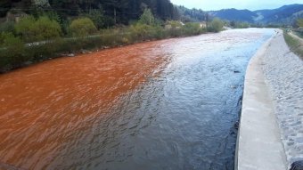 Megbírságolták a folyószennyezést okozó állami társaságot, javul a Beszterce vízminősége