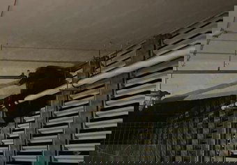 Menekülés közben kiugrott egy brassói bevásárlóközpont parkolóházának emeletéről egy medve, az életébe került a kaland