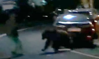 Hívatlan vendég: esküvőre ment a medve az Argeș megyei Arefu községben, elkergették