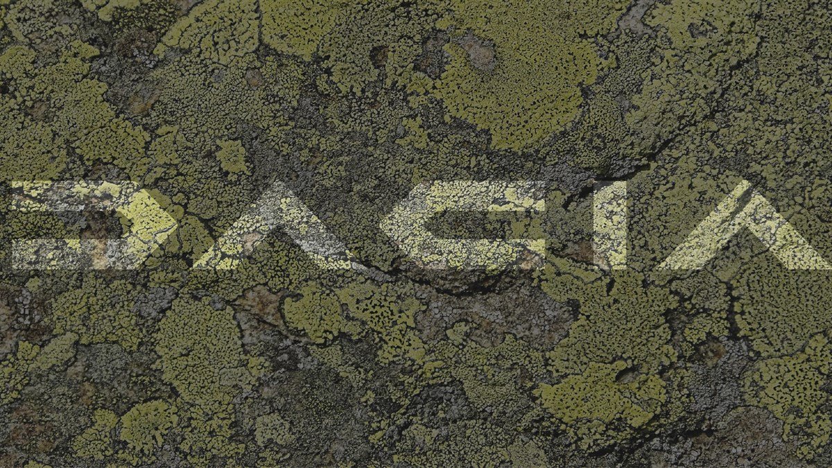 Az új logó •  Fotó: Dacia.ro