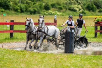 Háromszékről „diktálják” a hazai fogathajtás ütemét: háromcsillagos nemzetközi versenyt tartottak Oltszemen