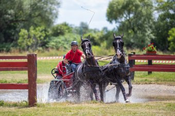 Háromszék lovas térképét is bemutatják a hétvégi nemzetközi fogathajtó versenyen Oltszemen