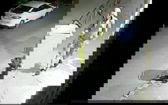 A lakosság segítségét kéri a Temes megyei rendőrség a temesvári kettős gyilkosság ügyében – Pénzt is lopott a gyilkos