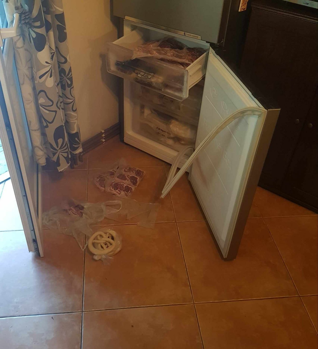 A négyfalusi konyhába behatoló medve élelemért kutatva kinyitotta a hűtőszekrény ajtaját •  Fotó: Antal Endre