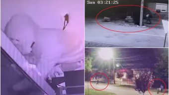 Talicskával tolták a lopott cigarettát Nagykároly utcáin, a rendőrség azóta is keresi őket