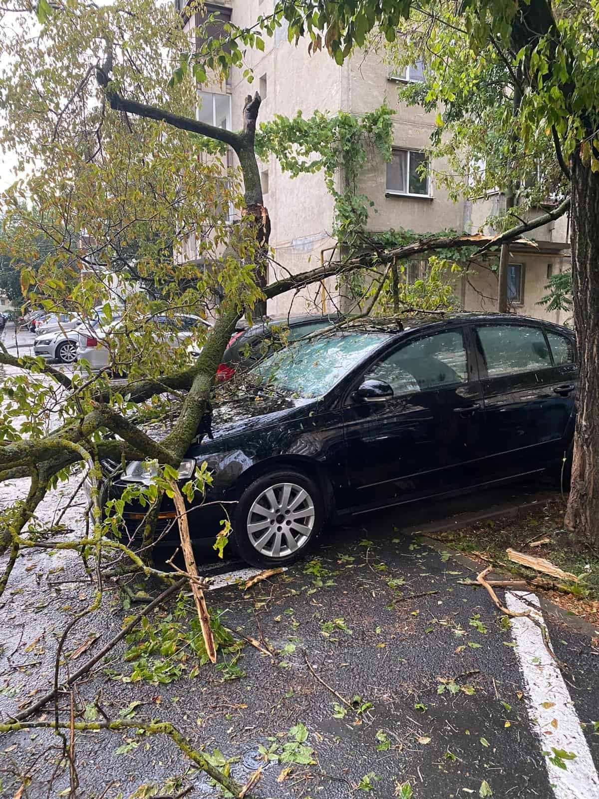 Kolozsváron is károkat okozott az erős szél kísérte zivatar •  Fotó: Katasztrófavédelem