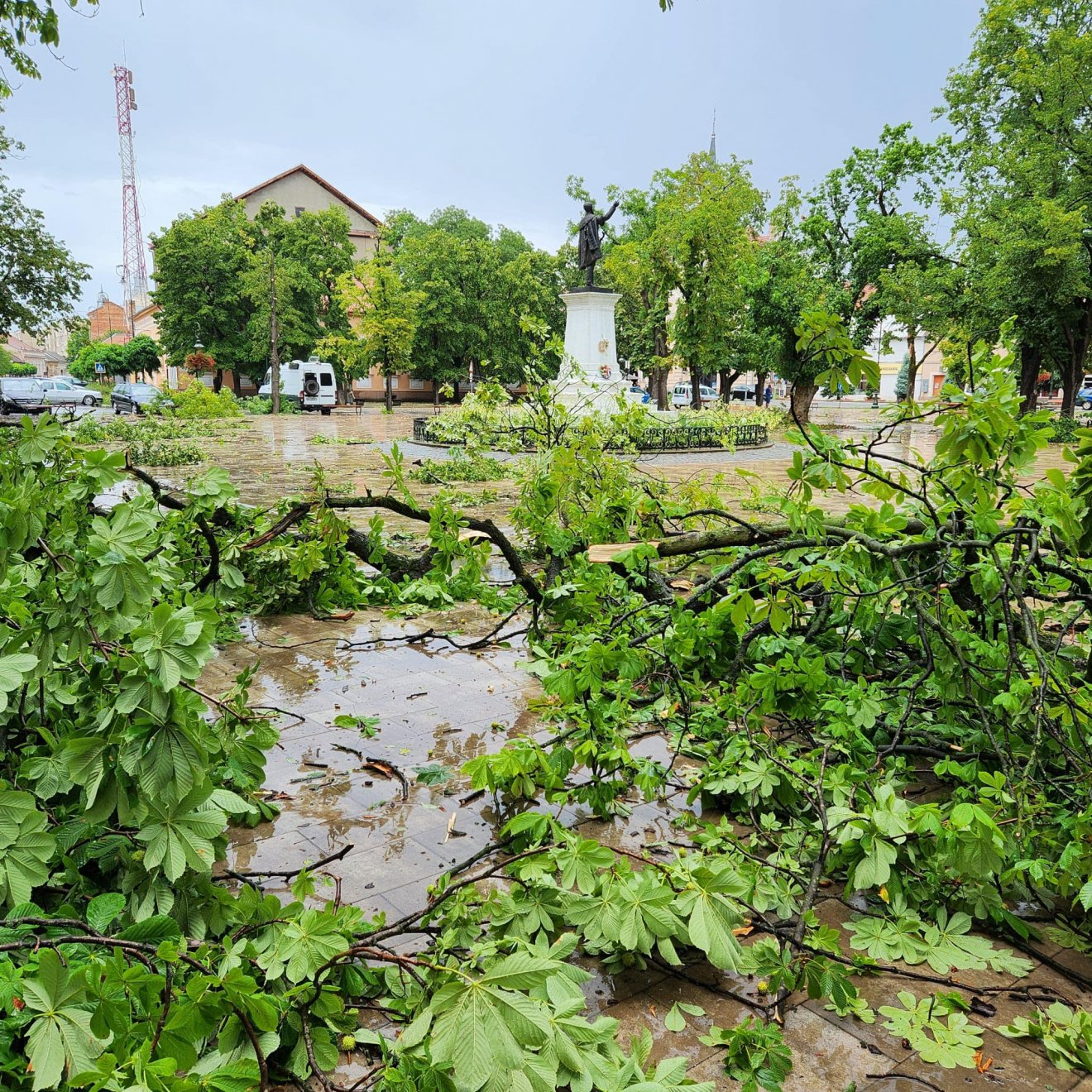 Nagyszalontát sem kímélte a heves vihar, a felvétel a központi parkot ábrázolja •  Fotó: Nagyszalonta polgármesteri hivatala