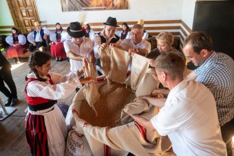 Búzagyűjtő és -összeöntő napot rendeztek a mezőségi Válaszúton