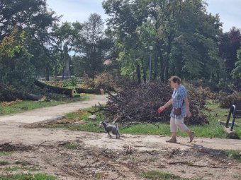 A viharkárokra is kiterjesztetné a kötelező lakásbiztosítást a múlt heti ítéltidő nyomán Bihar megye prefektusa