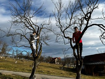 Tündérkertet avat és elülteti Petőfi körtefáját a Kallós Zoltán Alapítvány a Kolozs megyei Válaszúton