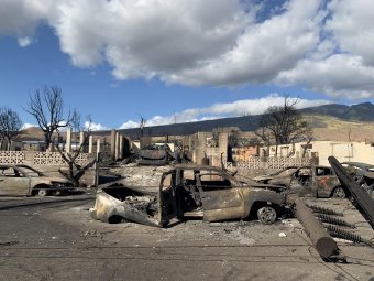 Hawaii-i tűzvész: a halottak többségét nem tudták azonosítani, még több mint ezer áldozatot keresnek