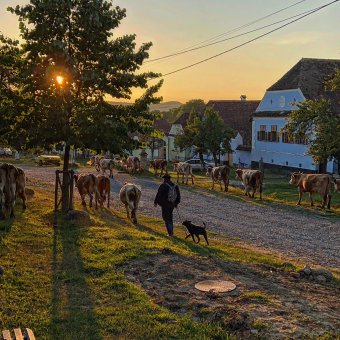 Drága mulatság az UNESCO-védettség Szászfehéregyházán