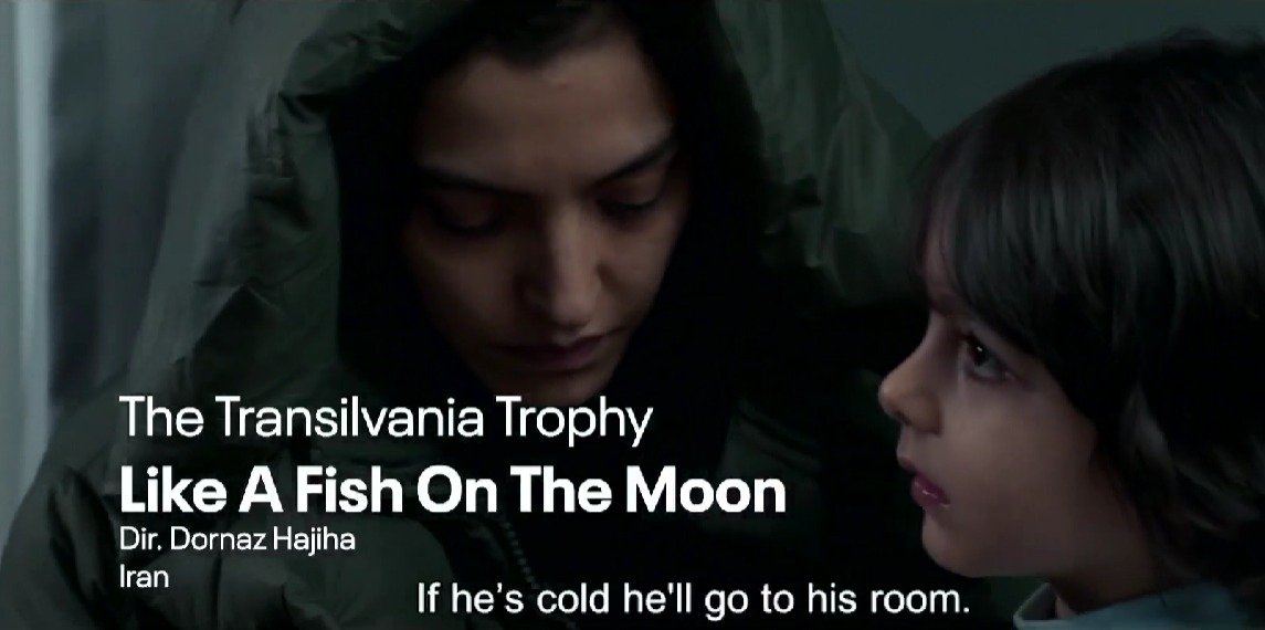 A 2023-as TIFF-en Transzilvánia Trófeával kitüntetett alkotást, az iráni Dornaz Hajiha Like Fish on the Moon (Mint hal a Holdon) című filmjét is vetítik a szentgyörgyi szemlén •  Fotó: TIFF