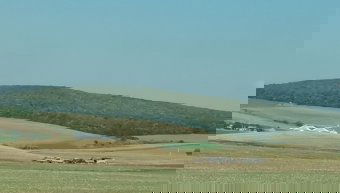 Valami bűzlik Kolozsváron: a hetek óta terjedő kellemetlen szag forrásának beazonosítását követeli a tanácselnök