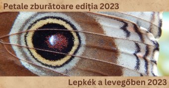 Amazonasi és ázsiai élő lepkéket lehet megtekinteni a kolozsvári botanikus kertben