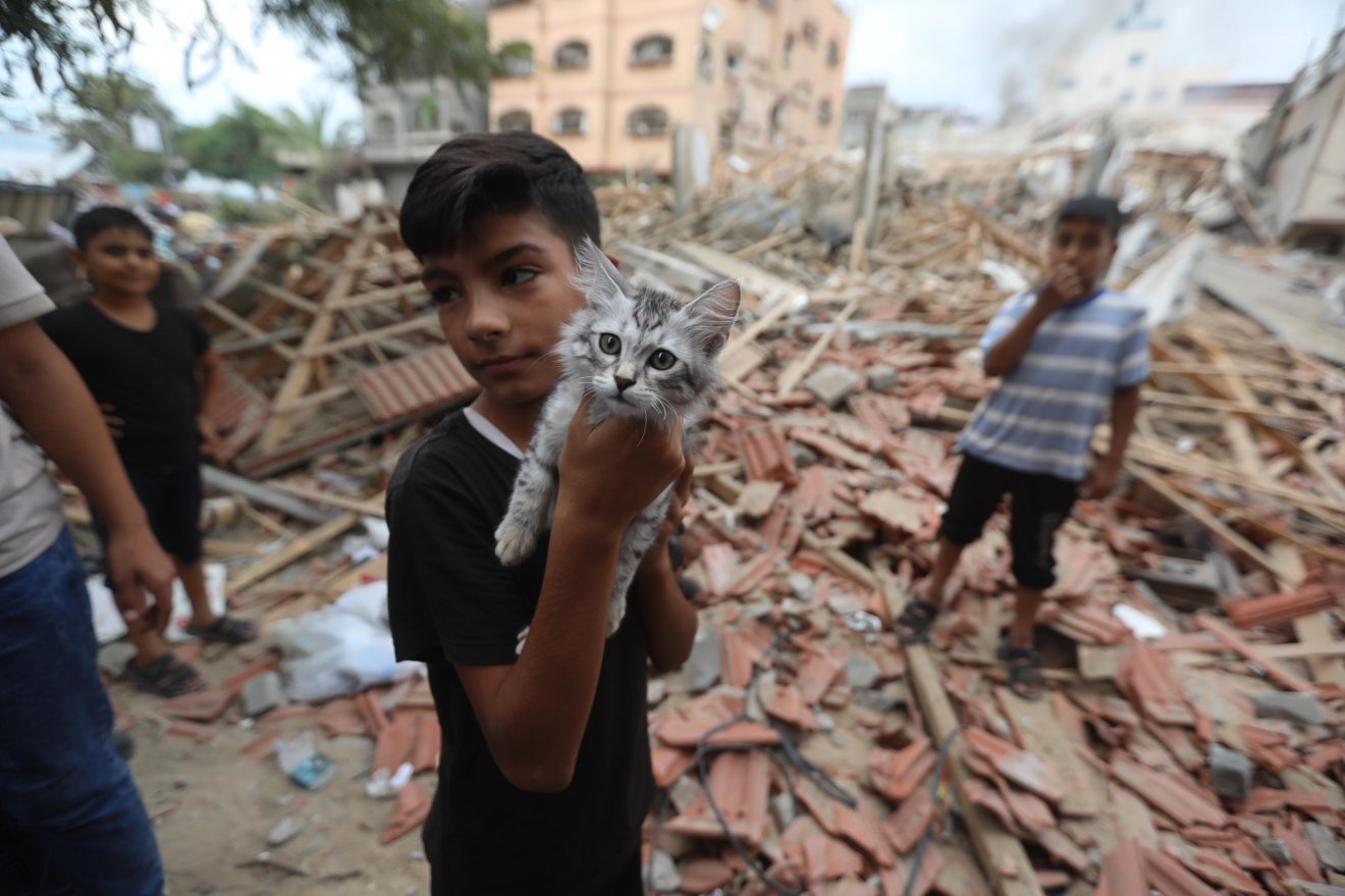 •  Fotó: UNRWA/Facebook