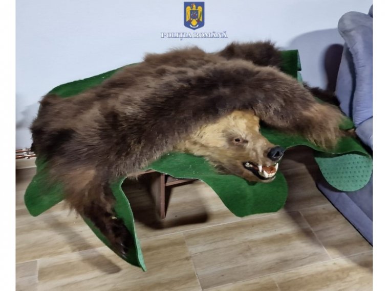 Medvetrófeát is lefoglaltak az őrizetbe vett 21 orvvadásztól Bihar megyében