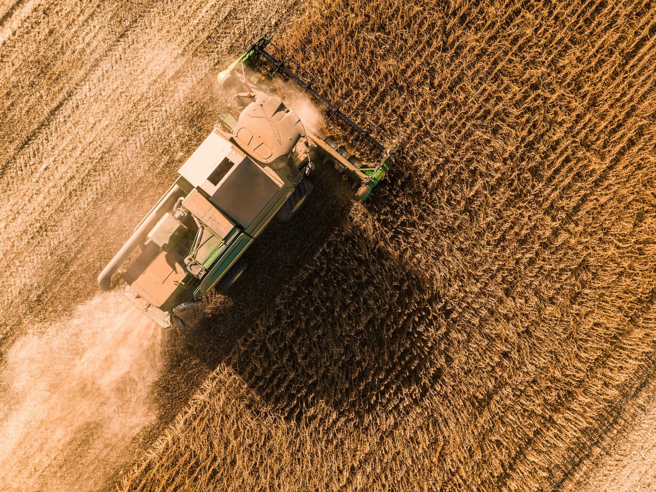Bart Imre, Mezőpetri-Nagykároly határában •  Fotó: Pro Agricultura/Facebook