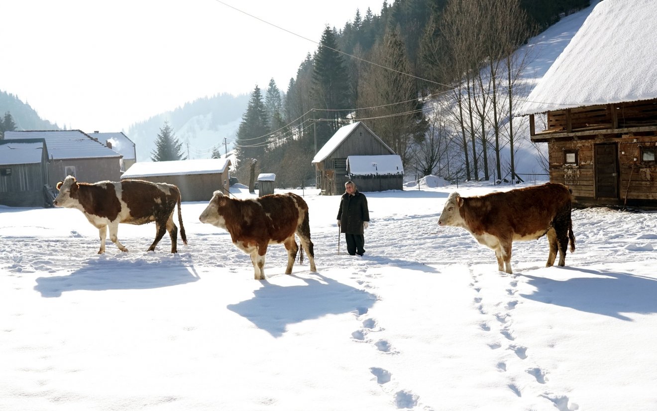 Both Gyula, Gyimesek •  Fotó: Pro Agricultura/Facebook