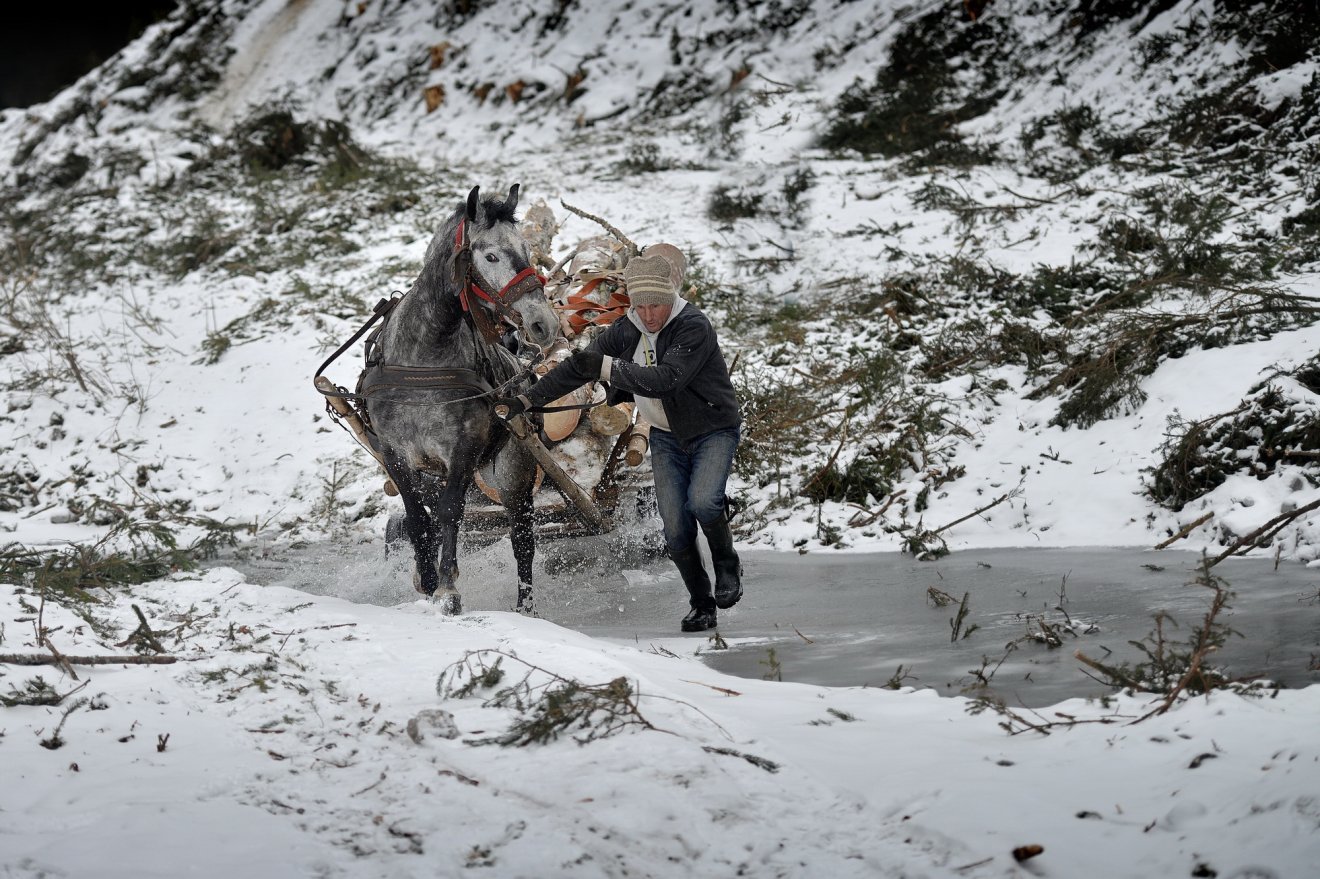 Fülöp Jenő, Borospataka, Gyimesek •  Fotó: Pro Agricultura/Facebook