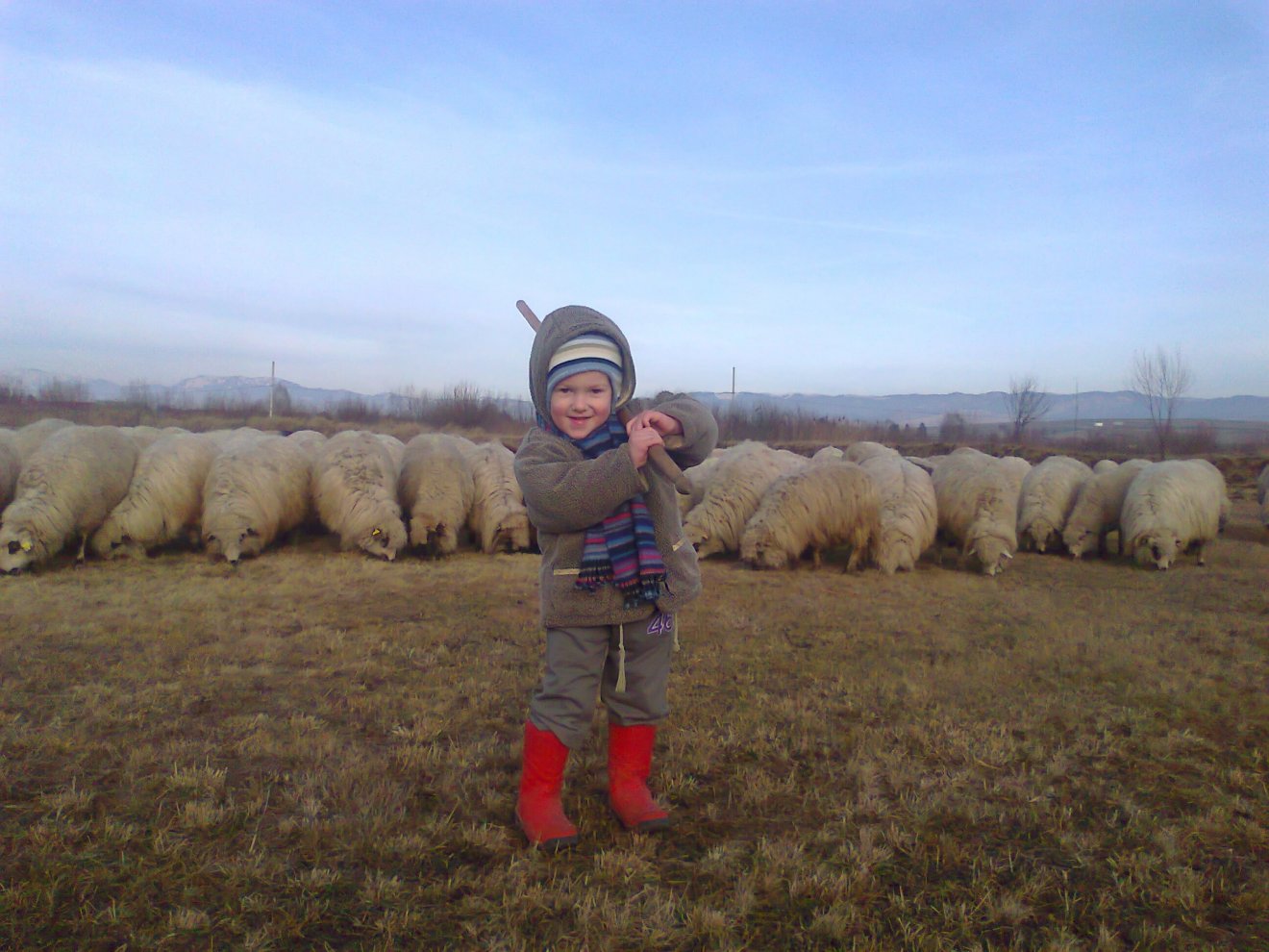 Lukács Szilvia, Felcsík, Csíkdánfalva és Csíkmadaras határa •  Fotó: Pro Agricultura/Facebook