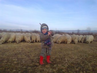 Gyönyörű fotók születtek az erdélyi mezőgazdaságról, állattartásról a Pro Agricultura egyesület pályázatára