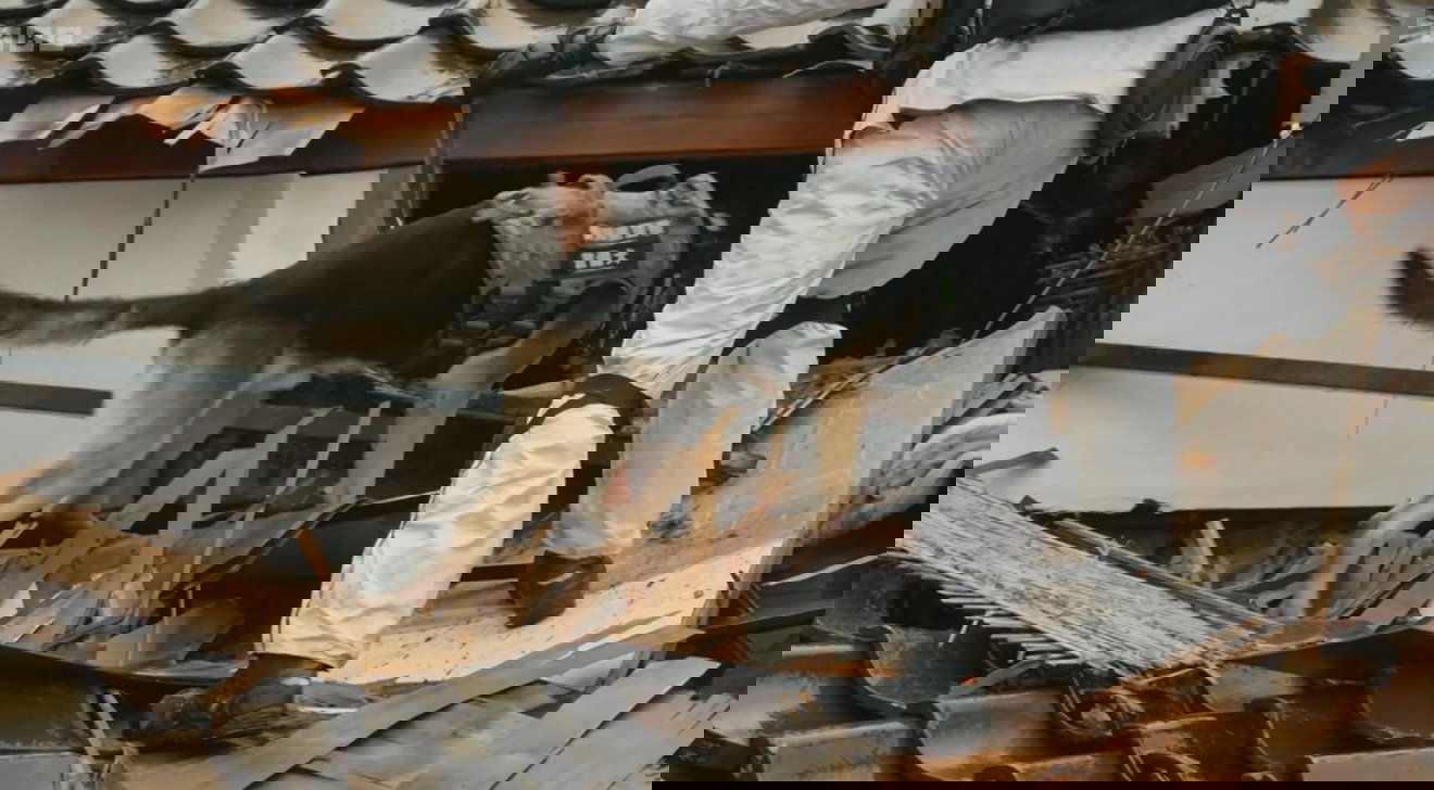 Keresőkutyákkal kutatnak a túlélők után a romok alatt •  Fotó: Videófelvétel/BBC