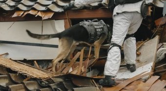 Százra emelkedett a japán földrengés áldozatainak száma, kétszáz embert még keresnek