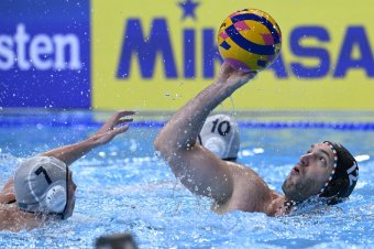 Elsöprő győzelemmel csoportelső és negyeddöntős a férfi vízilabda-válogatott a dohai világbajnokságon
