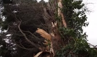 Európa-szerte komoly pusztítást okoztak a viharok