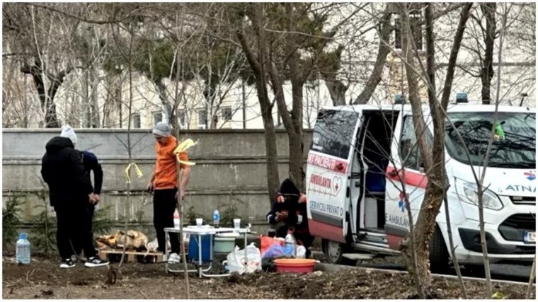 Mentőautóval szállítottak, majd egy parkban szúrtak le és dolgoztak fel két sertést egy dél-romániai megyeszékhelyen (VIDEÓ)