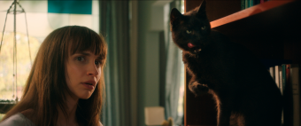 Cicaverzum – újabb magyar filmet, ezúttal romantikus vígjátékot vetítenek decemberben erdélyi mozikban