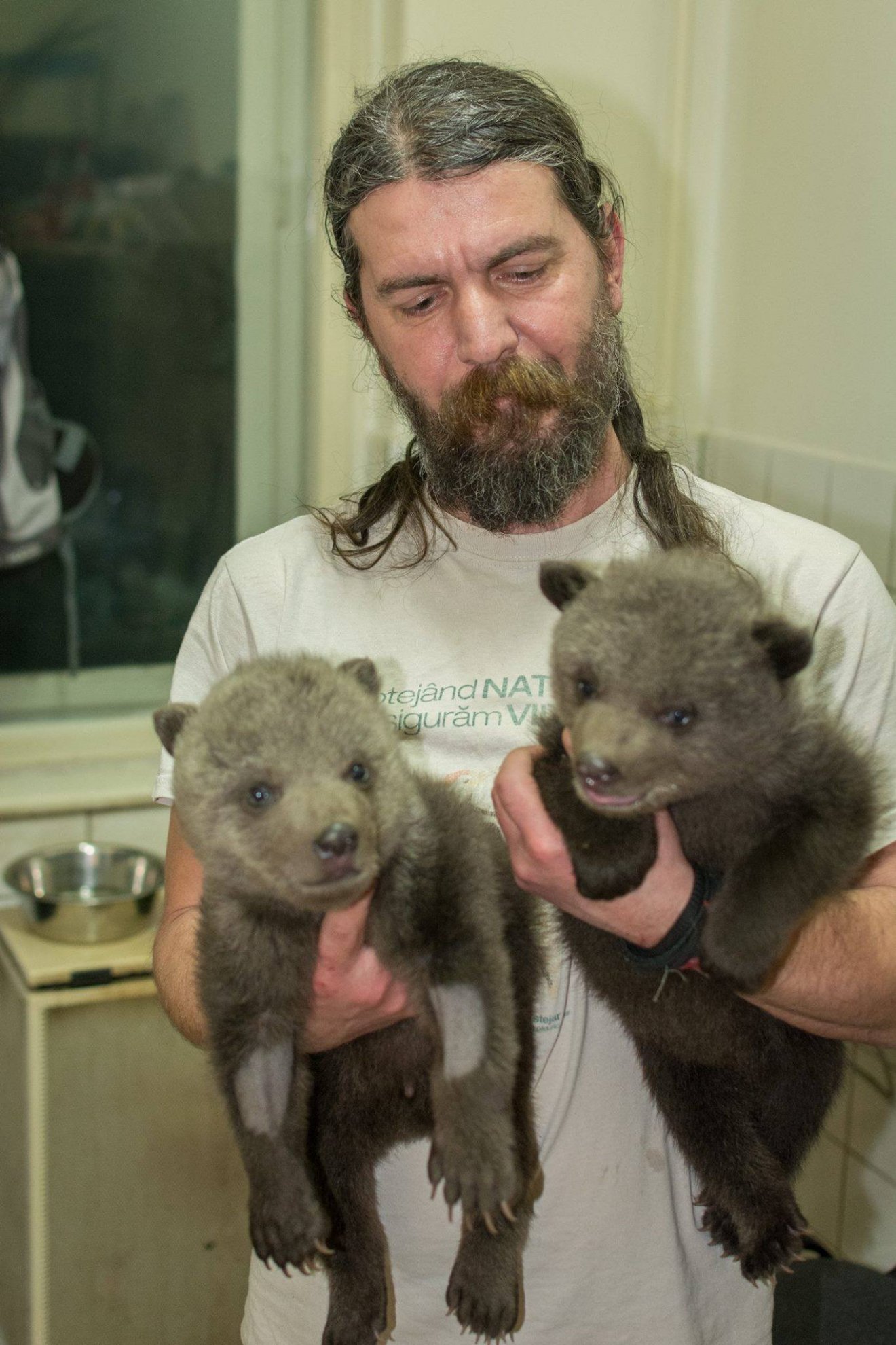 •  Fotó: Vets4Wild Romania/Facebook
