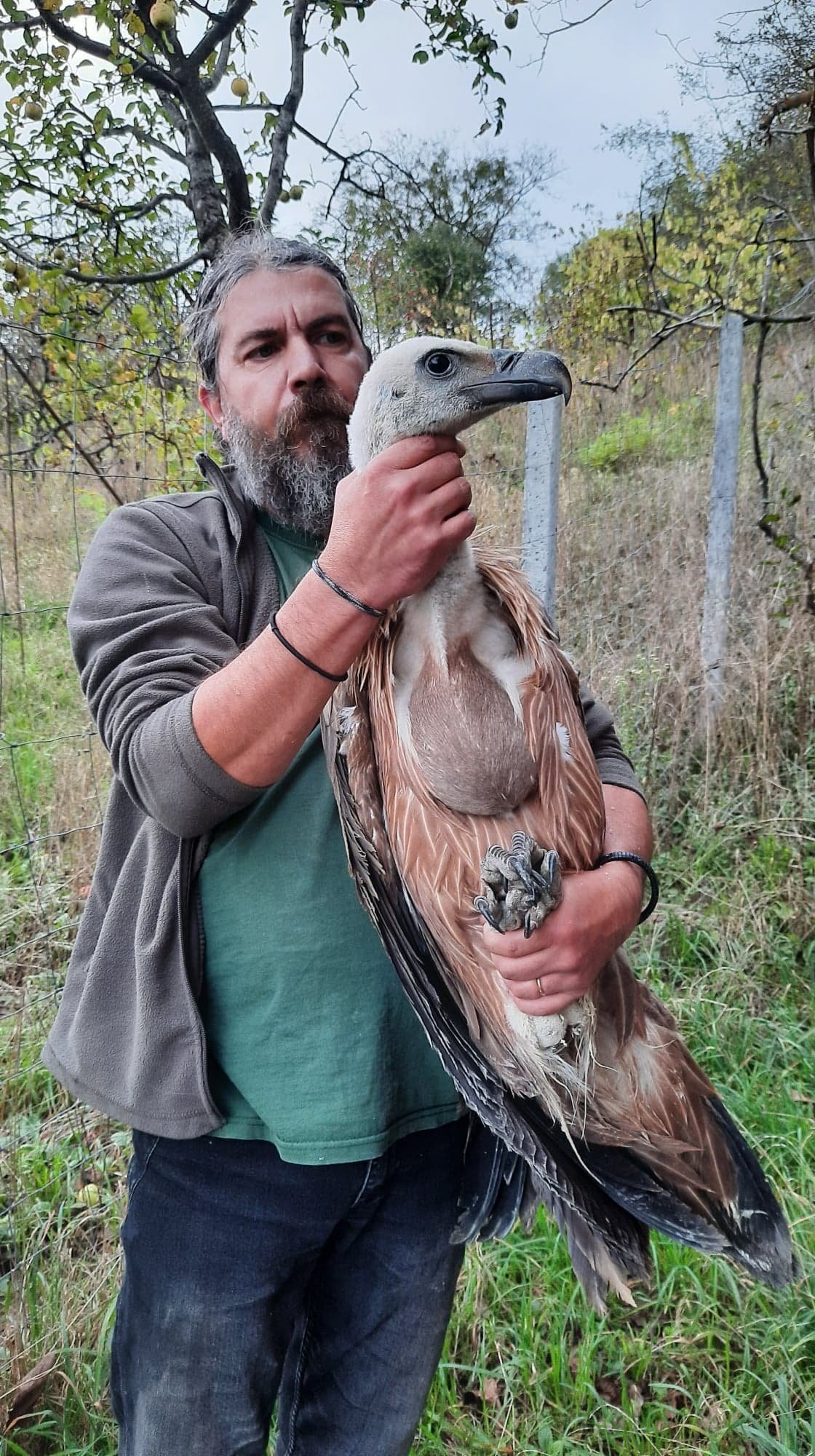 •  Fotó: Vets4Wild Romania/Facebook