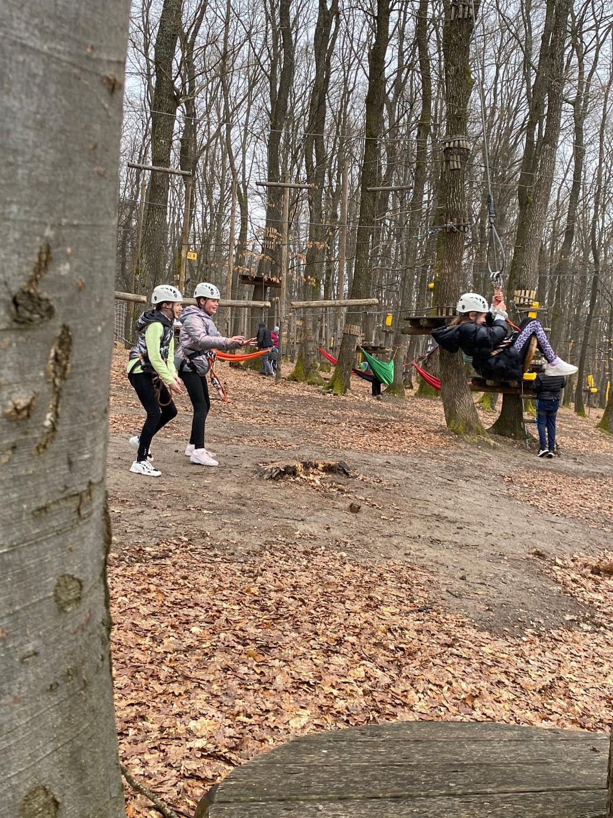 Biztonságos kalandozás. Könnyebb és nehezebb pályák közül választhatnak a résztvevők •  Fotó: Adrenalin Park/Facebook