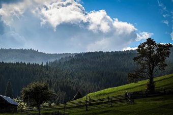 Betörne a nagyok közé a Székelyföld legészakibb településén palackozott ásványvíz