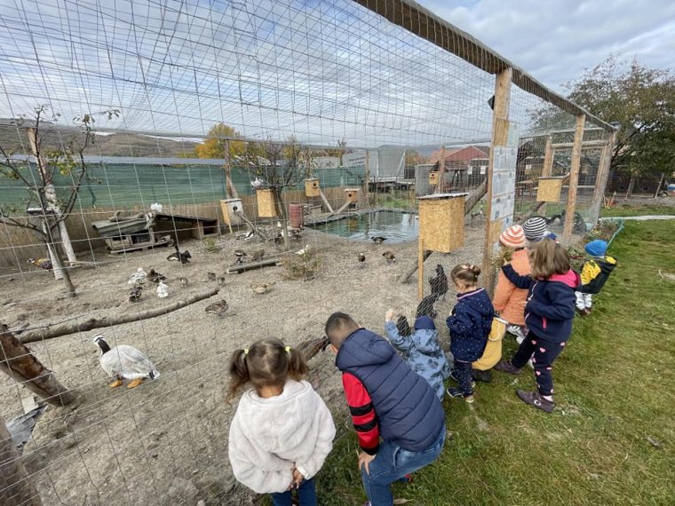 Röpködő színkavalkád és ismeretterjesztés a becsületkasszával működő korondi madárkertben
