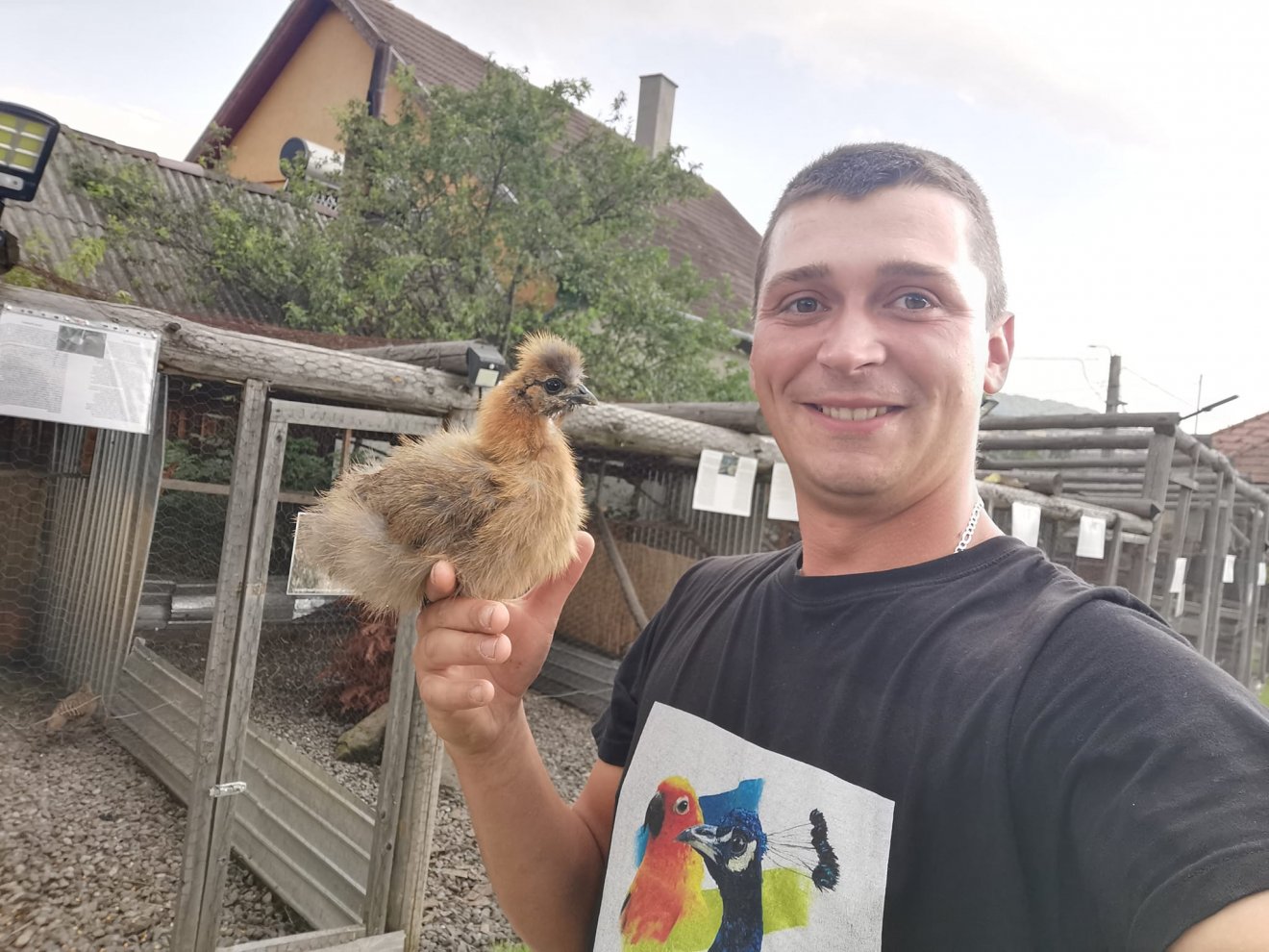 Szász Emil szeretne minél változatosabb kínálatot nyújtani a látogatóknak •  Fotó: Facebook/Korondi madárkert