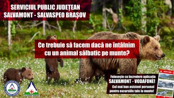Medvetámadásra figyelmeztetik a hegyekbe kiránduló turistákat a hegyimentők