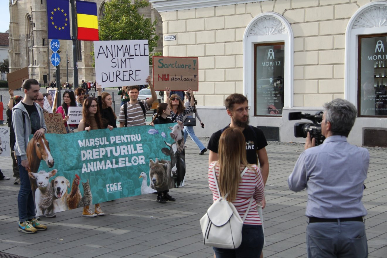A kincses városi csoport a F.R.E.E. nonprofit szervezet segítségével rendezett felvonulást az állatok jogaiért kiállva •  Fotó: Facebook/Vegan Vision Cluj