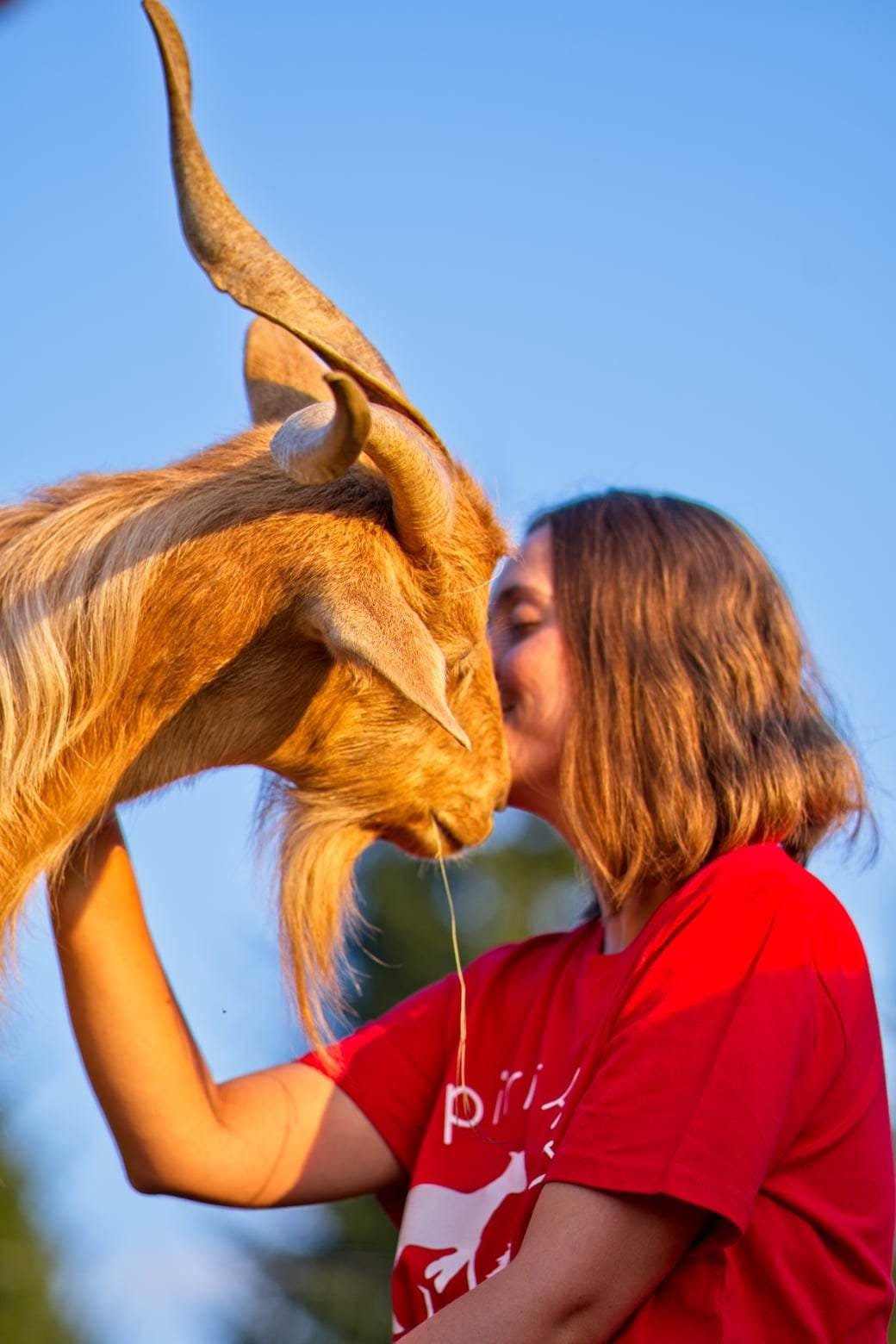 Dezső Melinda Eszter közel három és fél éve vegán, és rendkívül fontos számára az állatok alapvető jogainak tiszteletben tartása •  Fotó: Facebook/Spirit Animals Sanctuary