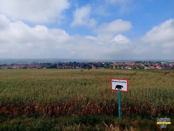 Nem veszi figyelembe az országhatárokat a medve, már Pest vármegyében is tartani lehet tőle
