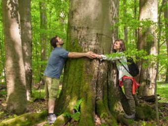 Magyarország-szerte izgalmas programokkal várja a látogatókat a péntektől induló Nemzeti Parkok Hete