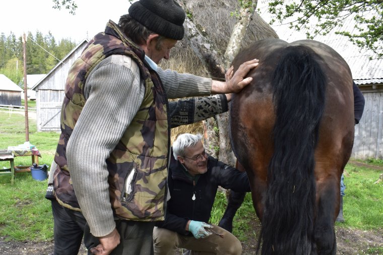 Lóherélő körúton a magyar állatorvossal, akit bizalmába fogadott Avram Iancu népe (képriport)