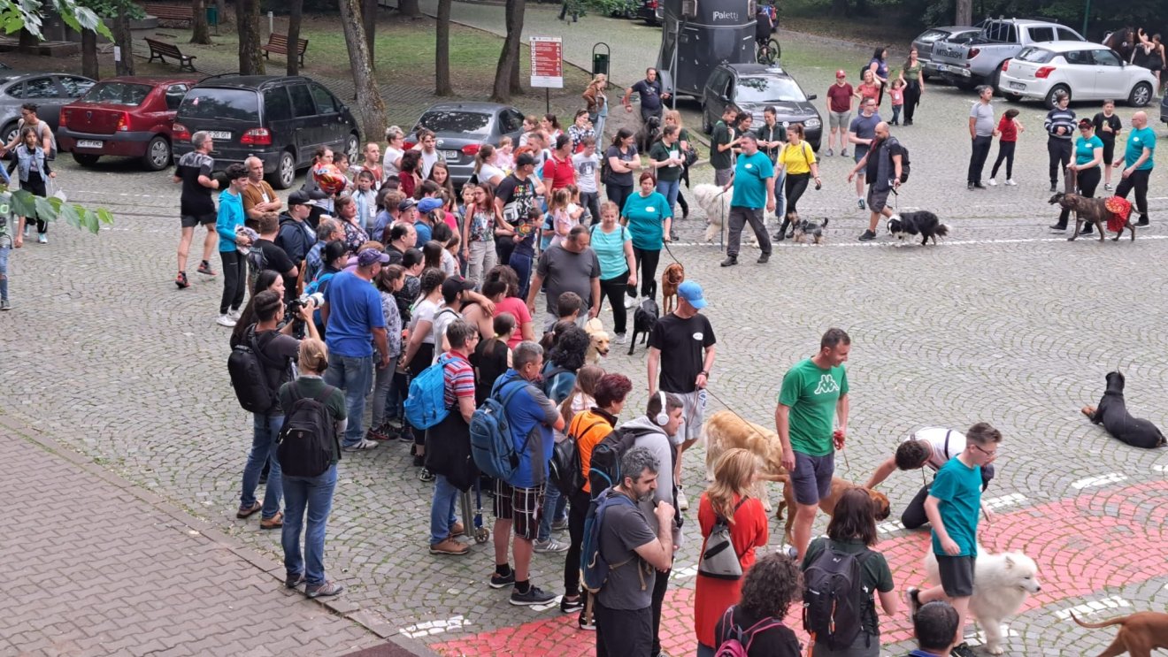 Ezúttal is szerepel kutyasimogatás a programpontok között •  Fotó: Facebook/Marosvásárhelyi Állatkert