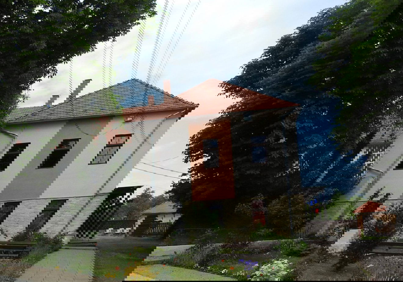 tanügy