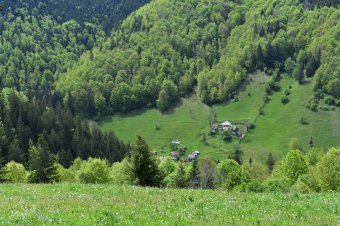 Egyre többen vágynak vissza a gyökerekhez: Romániában hódít a vidéki nyaralás