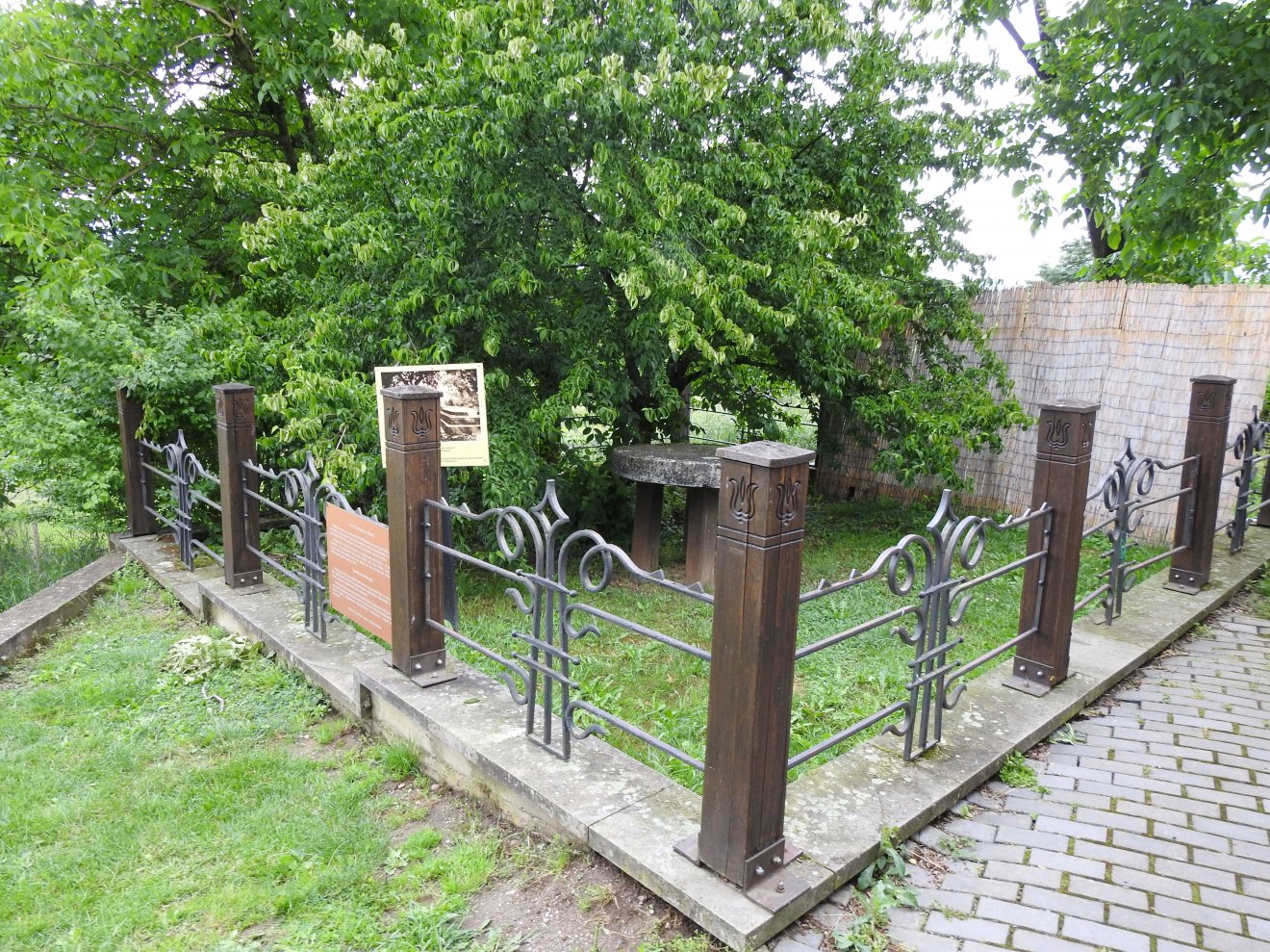 A híres kőasztal a somfa árnyékában •  Fotó: Makkay József